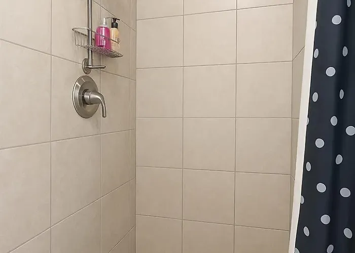 Cozy 1-bedroom - Sunnyside 2n Apartment Chicago